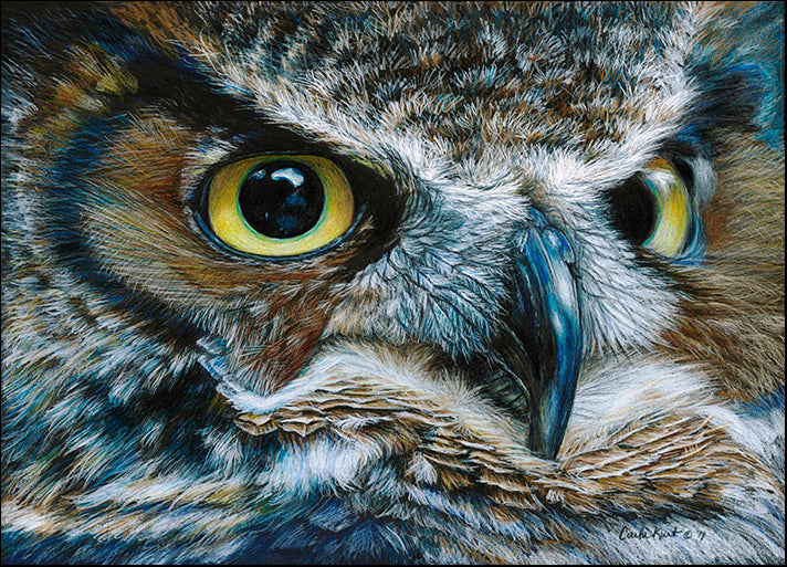 CARKUR106754 Dark Owl, by Carla Kurt, available in multiple sizes