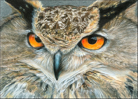 CARKUR106755 Orange-Eyed Owl, by Carla Kurt, available in multiple sizes