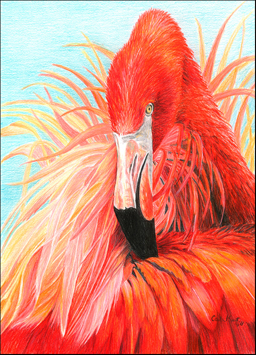 CARKUR106757 Red Flamingo, by Carla Kurt, available in multiple sizes