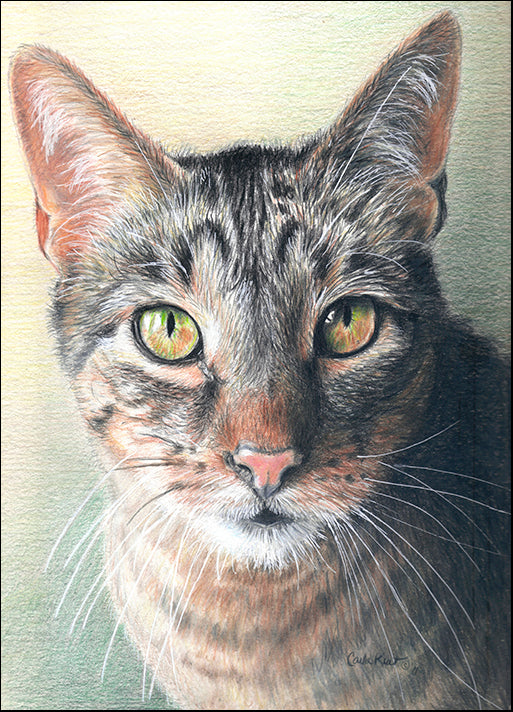 CARKUR106759 Slinky, by Carla Kurt, available in multiple sizes