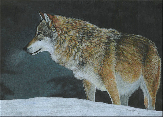 CARKUR119867 A Cold Winters Night, by Carla Kurt, available in multiple sizes