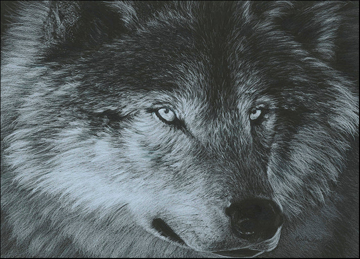 CARKUR119869 Dark Wolf, by Carla Kurt, available in multiple sizes