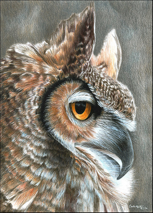 CARKUR119870 Sepia Owl, by Carla Kurt, available in multiple sizes