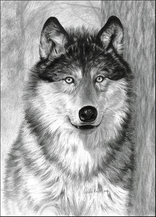 CARKUR98313 Alpha, by Carla Kurt, available in multiple sizes