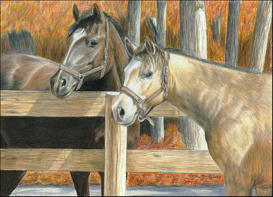CARKUR98315 Buck's Pal, by Carla Kurt, available in multiple sizes