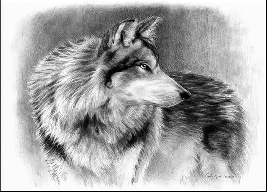CARKUR98317 Cautious Eyes, by Carla Kurt, available in multiple sizes