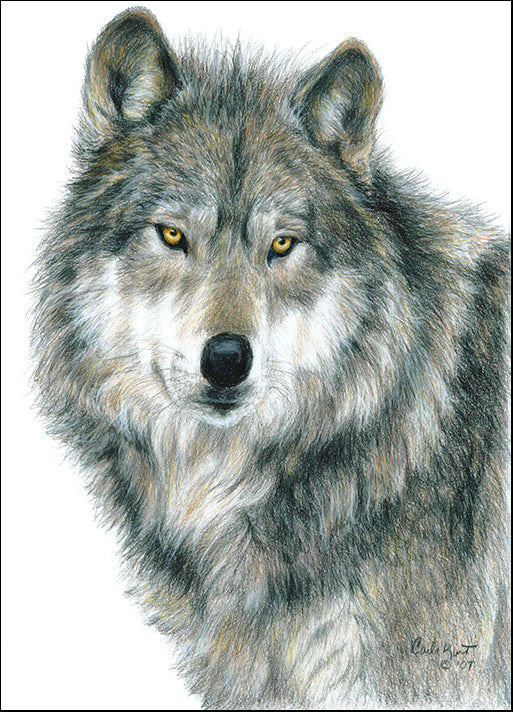 CARKUR98321 Haunting Eyes, by Carla Kurt, available in multiple sizes - Chamton