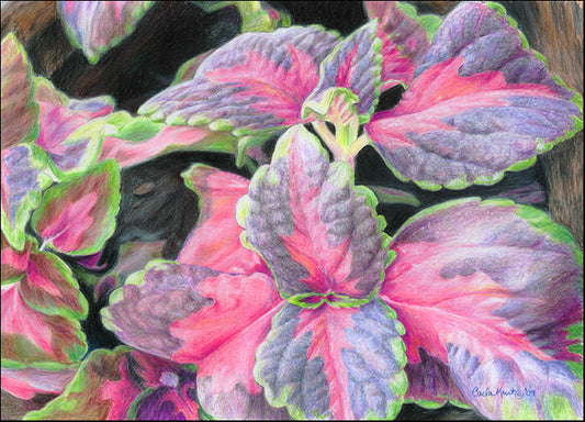 CARKUR98326 Purple Flowering Plant, by Carla Kurt, available in multiple sizes
