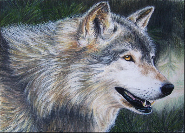 CARKUR98330 Timber Wolf Dark, by Carla Kurt, available in multiple sizes