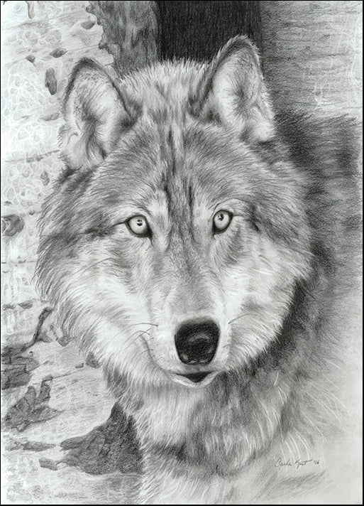 CARKUR98331 Watchful Eyes, by Carla Kurt, available in multiple sizes