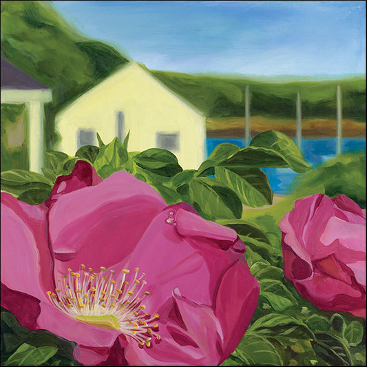 CATBRE124153 Beach Rose, by Catherine Breer, available in multiple sizes - Chamton