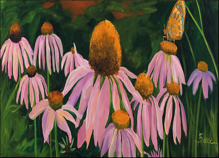CATBRE124158 Cone Flowers, by Catherine Breer, available in multiple sizes