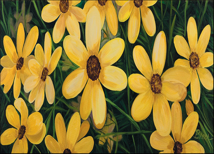 CATBRE124159 Coreopsis, by Catherine Breer, available in multiple sizes