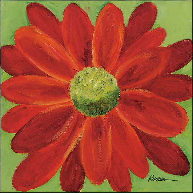 CATBRE124171 Red Daisy, by Catherine Breer, available in multiple sizes