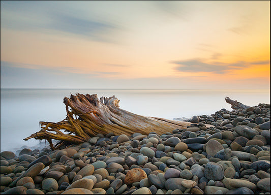CHRMOY121097 Covered, by Chris Moyer, available in multiple sizes - Chamton