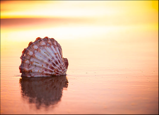 CHRMOY126621 Battered But Beautiful, by Chris Moyer, available in multiple sizes