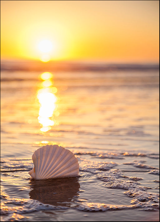 CHRMOY128999 Pop The Bubbly, by Chris Moyer, available in multiple sizes