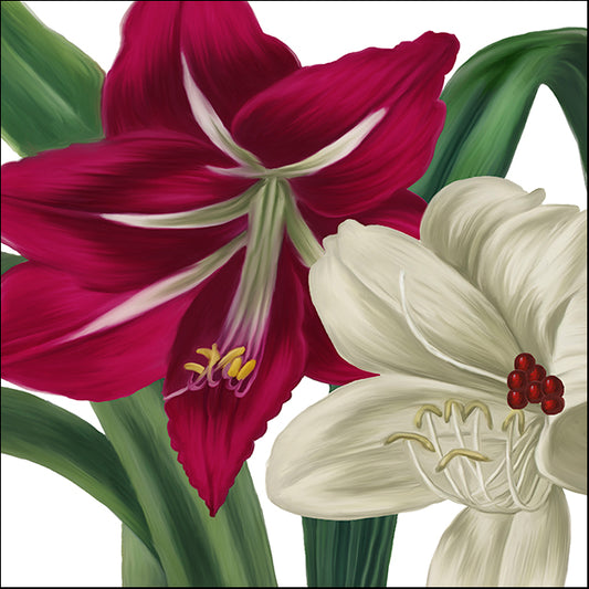 COLBAK110152 Christmas Amaryllis I, by Color Bakery, available in multiple sizes