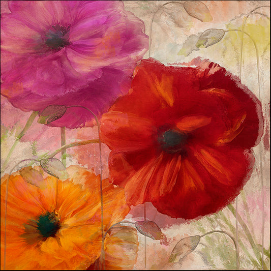 COLBAK110155 Penchant For Poppies I, by Color Bakery, available in multiple sizes