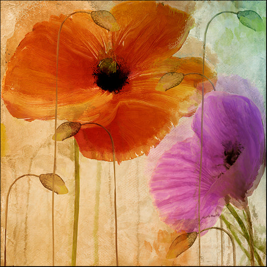 COLBAK110156 Penchant For Poppies II, by Color Bakery, available in multiple sizes