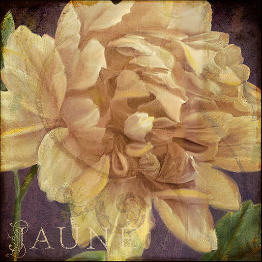 COLBAK110172 Jaune, by Color Bakery, available in multiple sizes