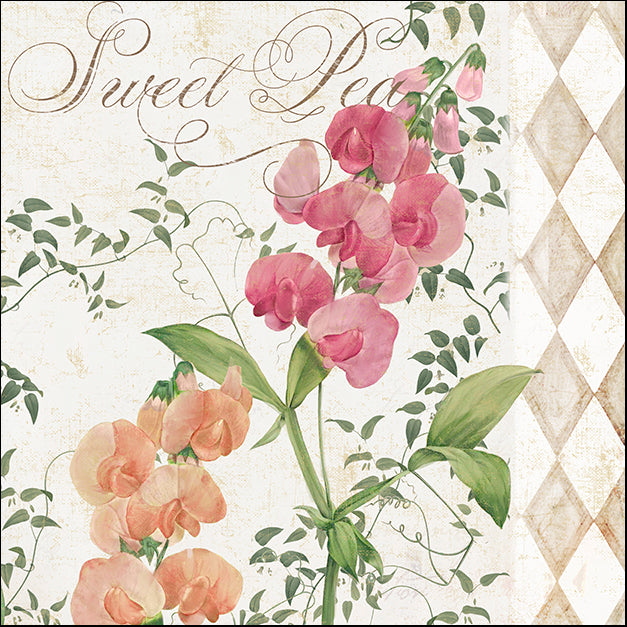COLBAK110180 Sweet Pea, by Color Bakery, available in multiple sizes