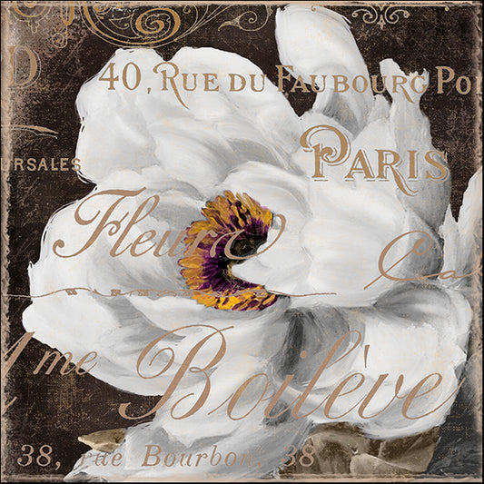 COLBAK110389 Fleurs Blanc III, by Color Bakery, available in multiple sizes