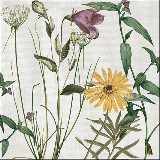 COLBAK110482 Softly I, by Color Bakery, available in multiple sizes