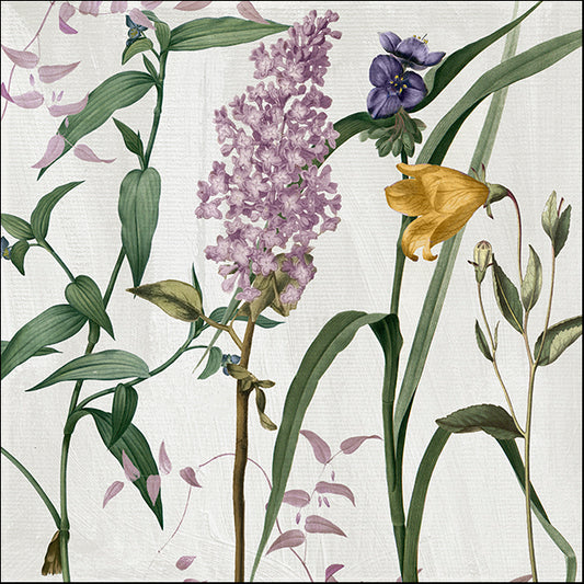 COLBAK110483 Softly II, by Color Bakery, available in multiple sizes - Chamton
