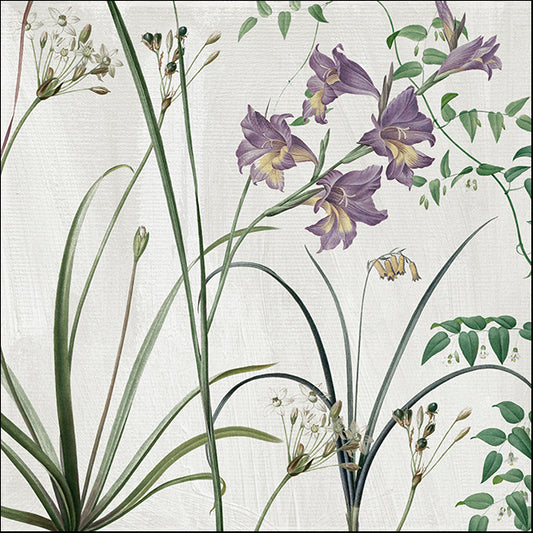 COLBAK110484 Softly III, by Color Bakery, available in multiple sizes