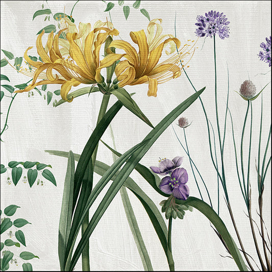 COLBAK110485 Softly IV, by Color Bakery, available in multiple sizes