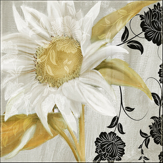 COLBAK110486 Sunroom I, by Color Bakery, available in multiple sizes