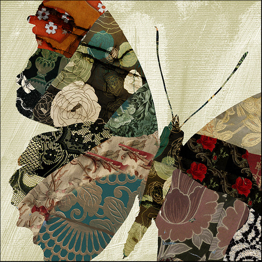 COLBAK110891 Butterfly Brocade III, by Color Bakery, available in multiple sizes