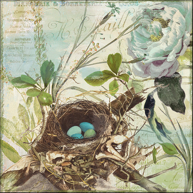 COLBAK111644 Nesting II, by Color Bakery, available in multiple sizes