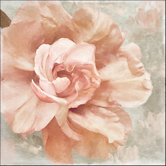COLBAK111726 Petals Impasto I, by Color Bakery, available in multiple sizes