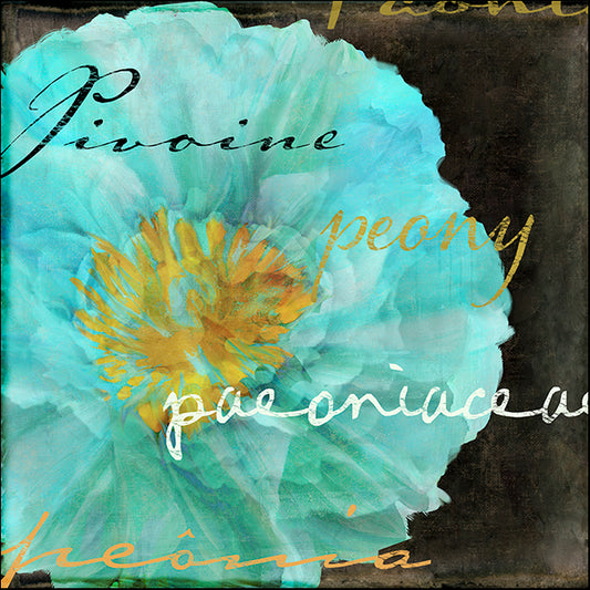 COLBAK111776 Blue Peony Dark, by Color Bakery, available in multiple sizes