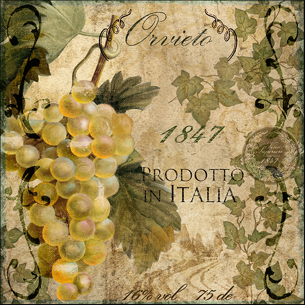 COLBAK112171 Vino Italiano IV, by Color Bakery, available in multiple sizes
