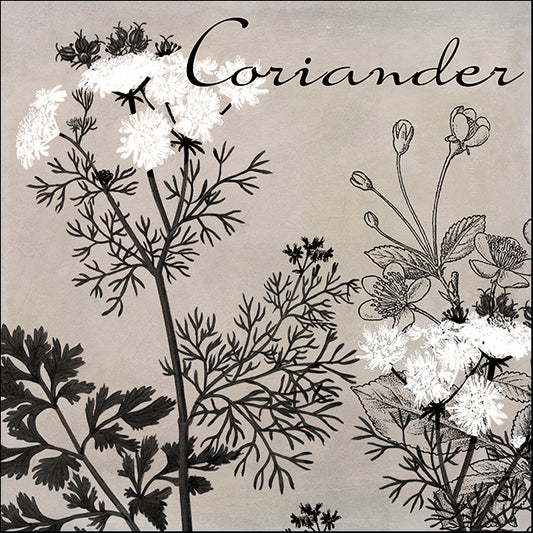 COLBAK112294 Flowering Herbs IV, by Color Bakery, available in multiple sizes