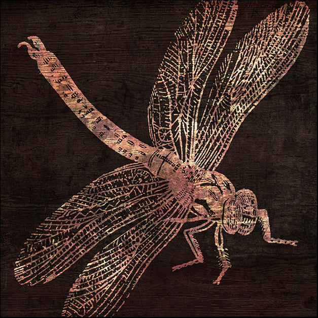 COLBAK112619 dragonfly, by Color Bakery, available in multiple sizes