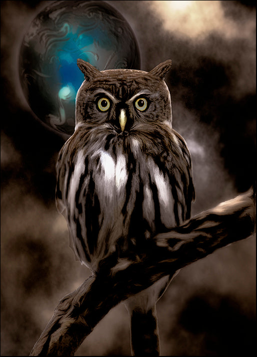 COLBAK112625 Night Owl, by Color Bakery, available in multiple sizes