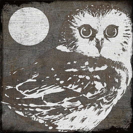 COLBAK112628 Owl 3, by Color Bakery, available in multiple sizes