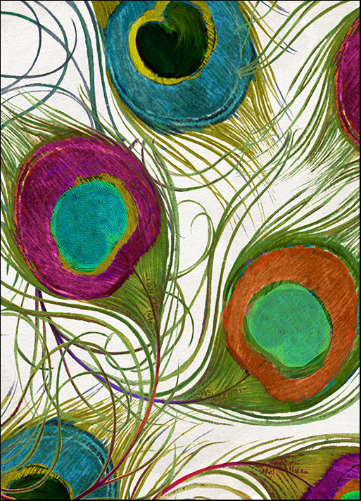 COLBAK113623 Peacock Feathers II, by Color Bakery, available in multiple sizes