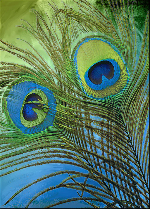 COLBAK113624 Peacock Candy I, by Color Bakery, available in multiple sizes