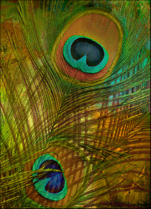 COLBAK113625 Peacock Candy II, by Color Bakery, available in multiple sizes