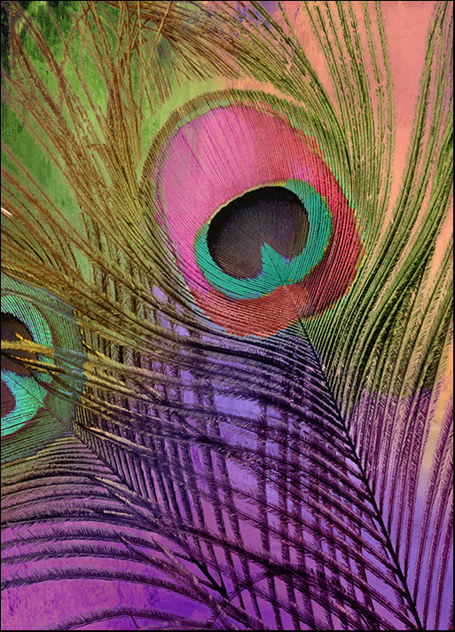 COLBAK113626 Peacock Candy III, by Color Bakery, available in multiple sizes