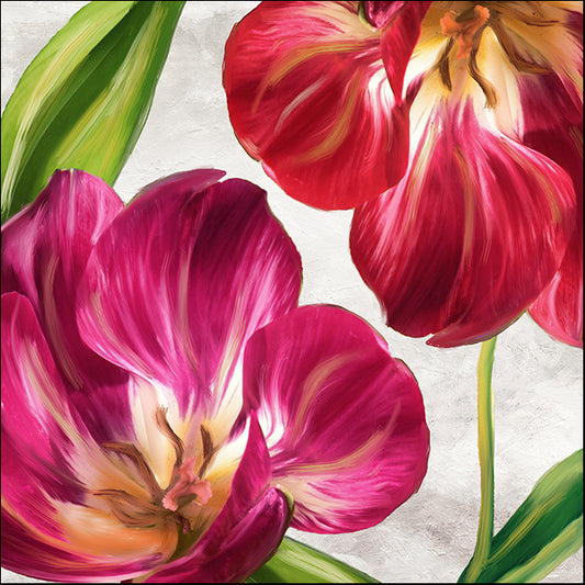COLBAK114069 Open Arms I, by Color Bakery, available in multiple sizes