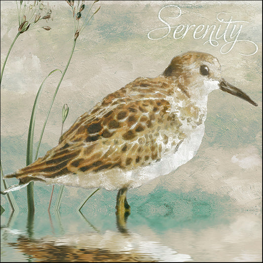 COLBAK114621 Sand Piper I, by Color Bakery, available in multiple sizes