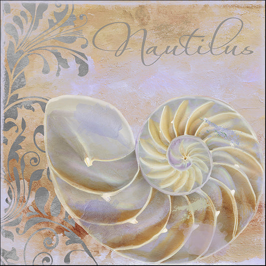 COLBAK114625 Nautilus, available in multiple sizes - Chamton