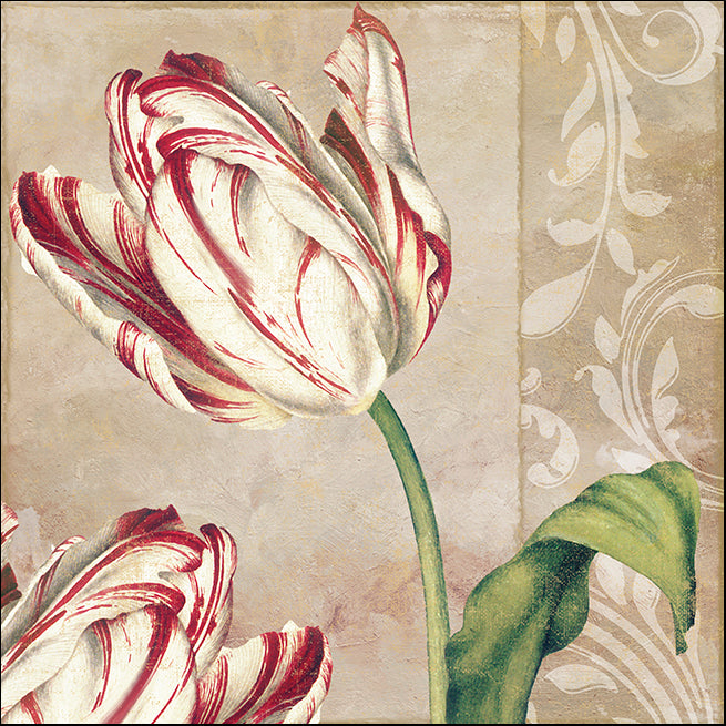 COLBAK114627 Classic Tulips I, available in multiple sizes