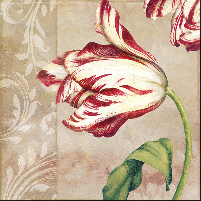 COLBAK114628 Classic Tulips II, available in multiple sizes